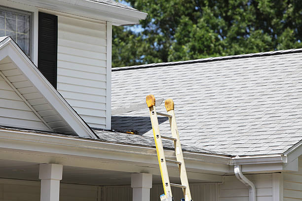 Best Storm Damage Siding Repair  in Lakewood, WA